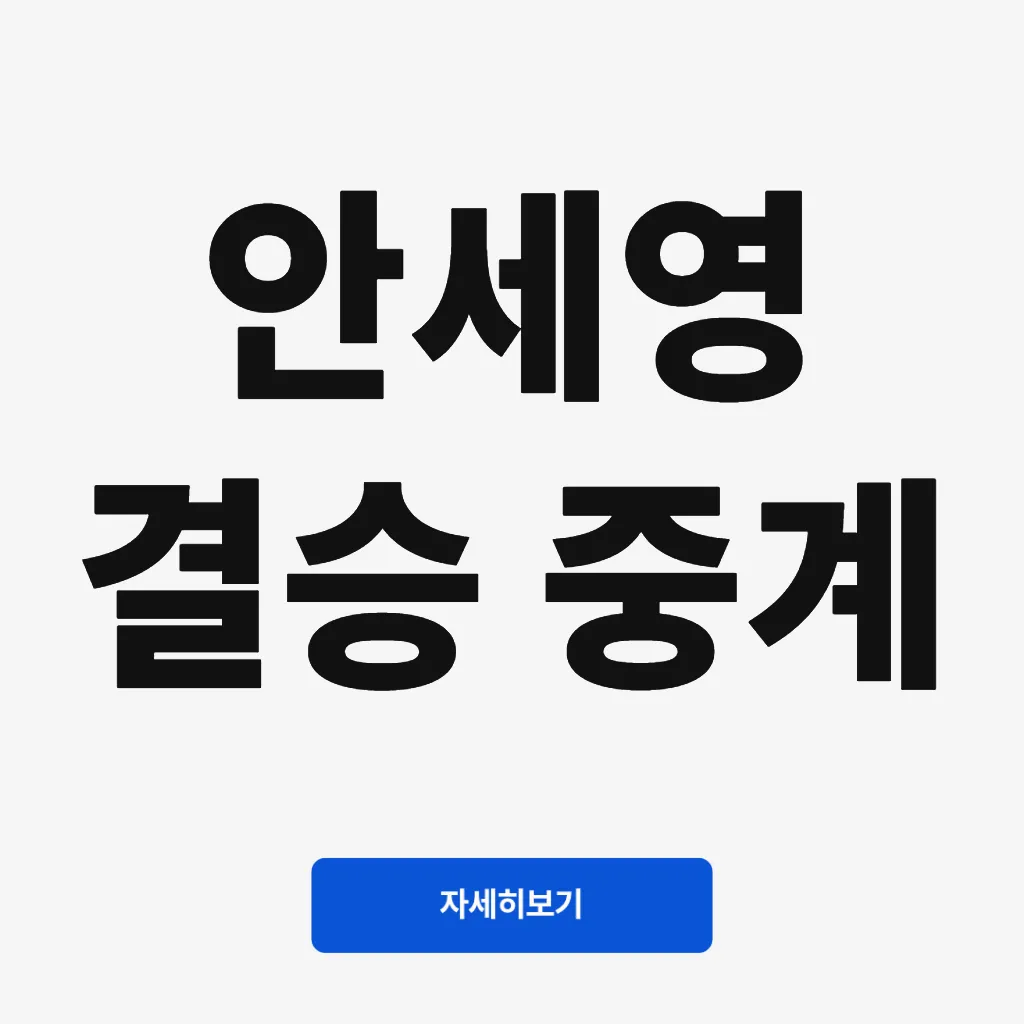 안세영 결승 중계