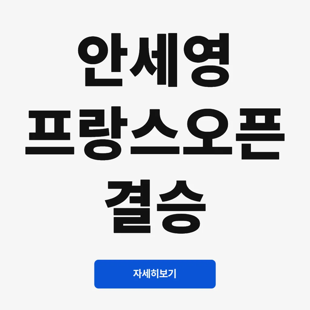 안세영 프랑스오픈 결승